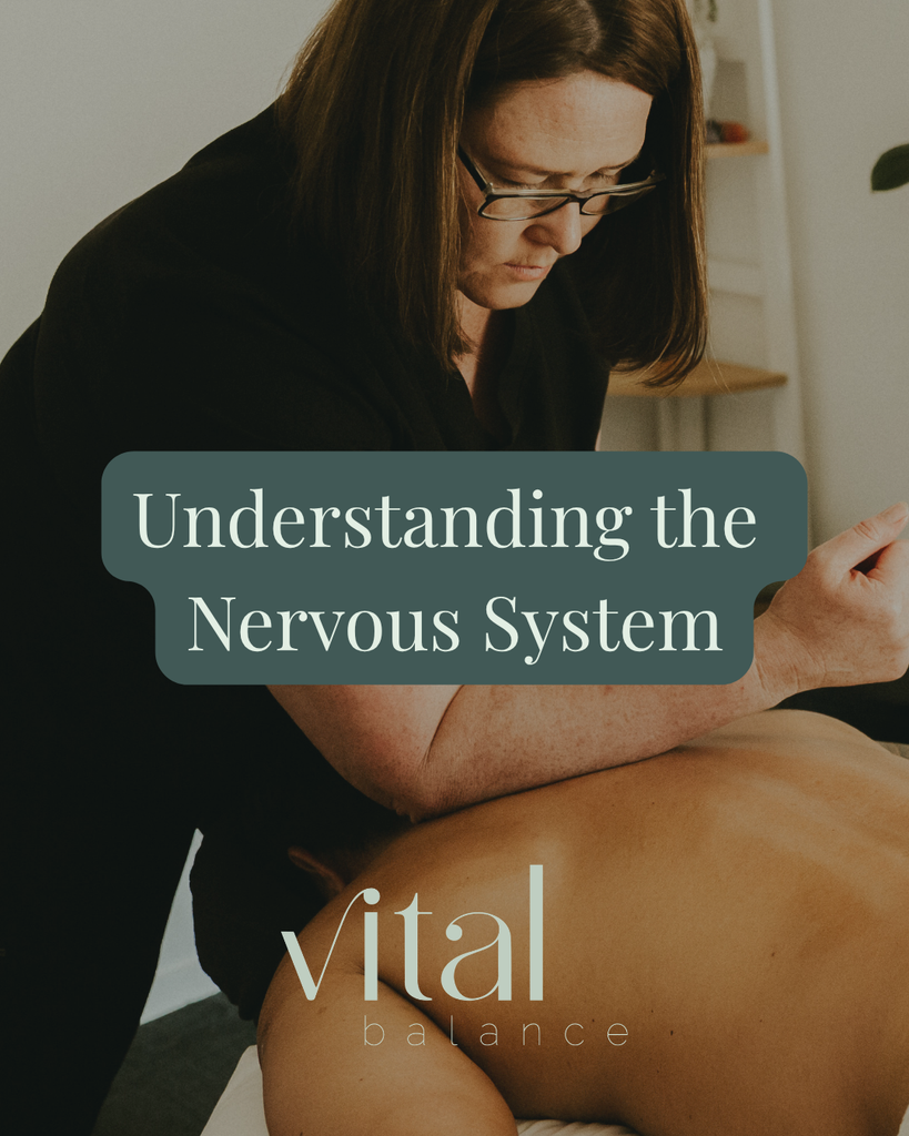 Understanding The Nervous System